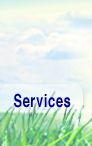 EE&D's Services